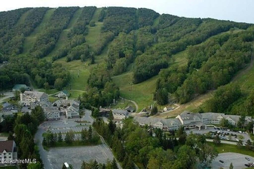 Unique Yeti-Theme Ski On Off Suite Jiminy-Sleeps 4 Hancock Exterior photo
