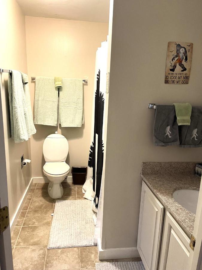 Unique Yeti-Theme Ski On Off Suite Jiminy-Sleeps 4 Hancock Exterior photo